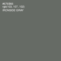 #676B66 - Ironside Gray Color Image